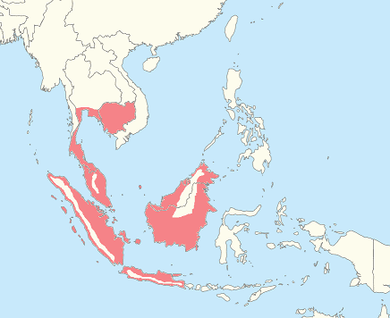 malaysian blue coral snake range