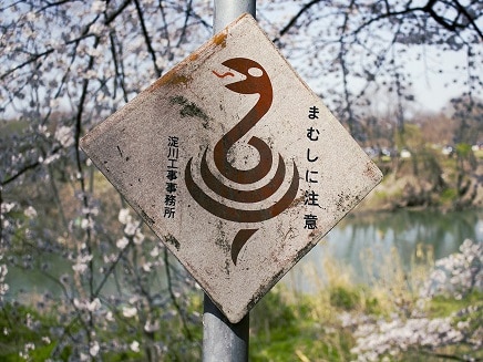 mamushi snake sign