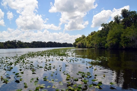 st johns river florida