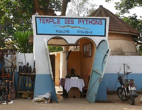 temple des pythons ball python