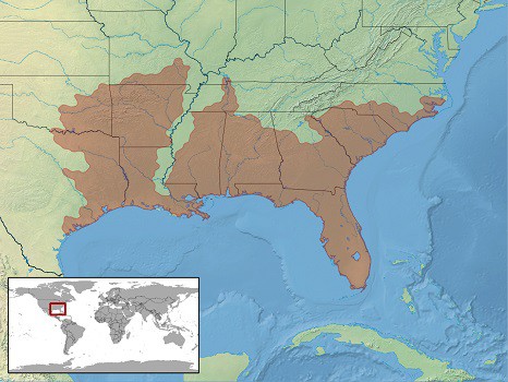 sistrurus miliarius pygmy rattlesnake map