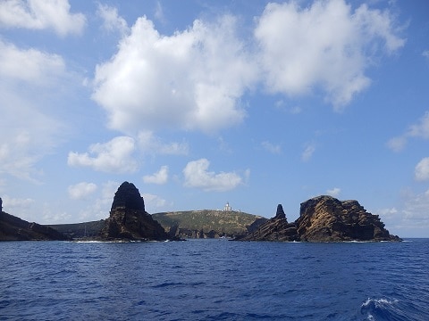 Lighthouse island, Lataste's viper den