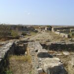 dice snake natrix tessellata histria