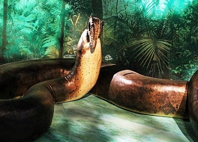 titanoboa largest longest prehistoric snake