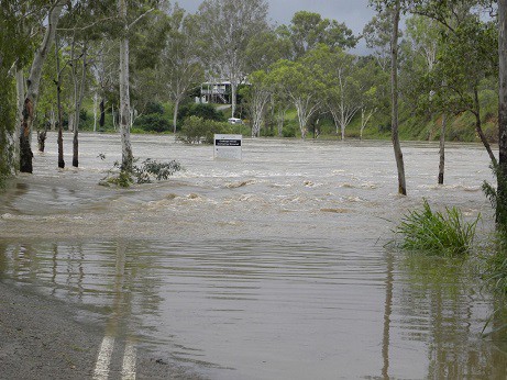 2011 snake headlines queensland floods