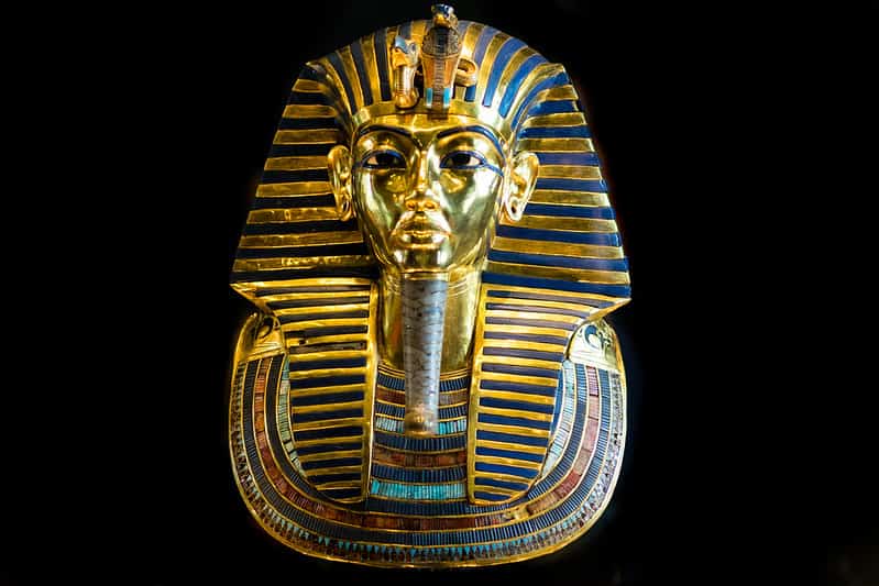 King Tut Egyptian cobra naja