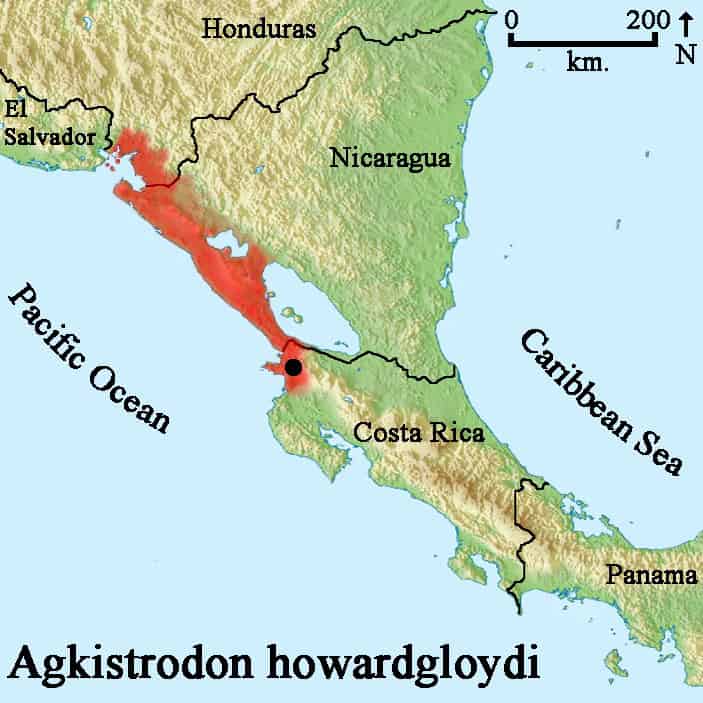 Southern Cantil (Agkistrodon howardgloydi) map