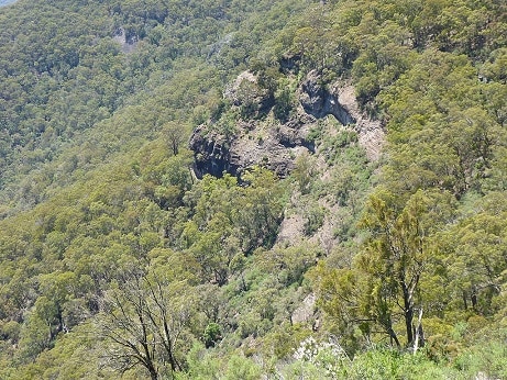 Hoplocephalus bungaroides australia bush rock