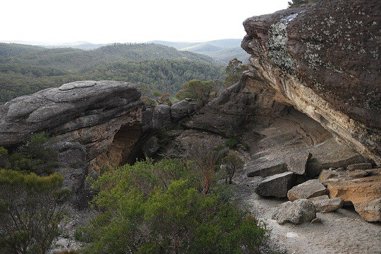 Broad-headed snake habitat, Australia