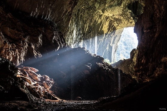 gunung mulu caves beauty ratsnake