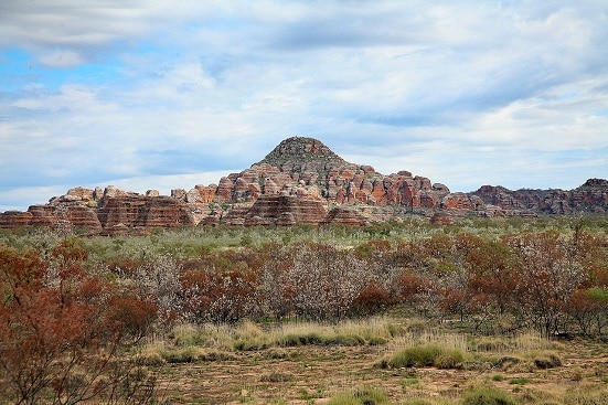 australian outback kimberley snake territory