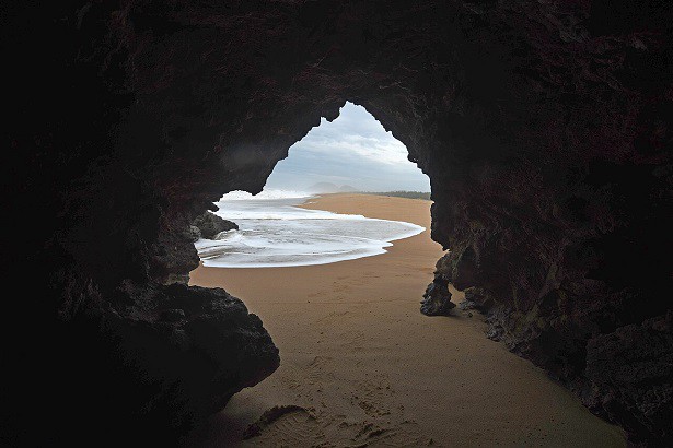 Laticauda semifasciata tidal beach cave