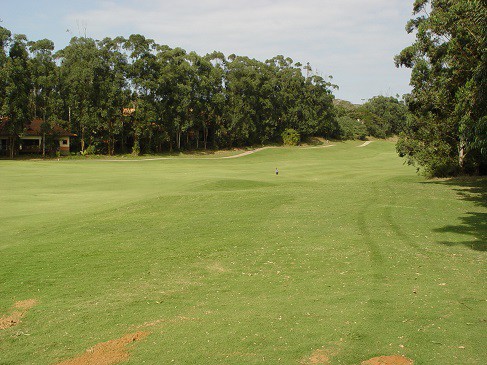 golf course venomous snakebite danger