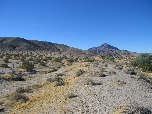 nevada desert highways snake warning