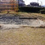 Ten Snake Headlines Of The Year 2018